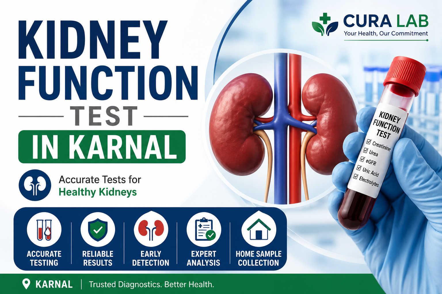 Kidney Function Test in Karnal
